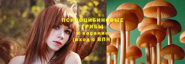 тгк Ельня