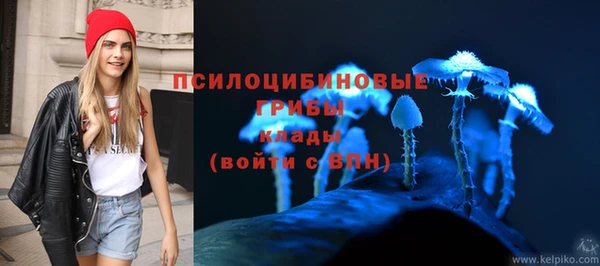 тгк Ельня