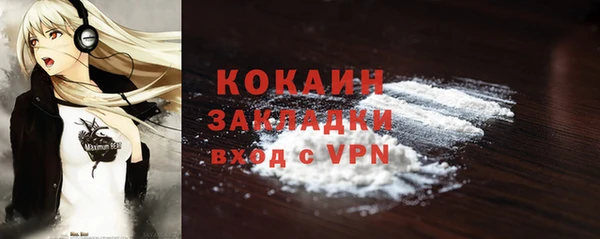 тгк Ельня