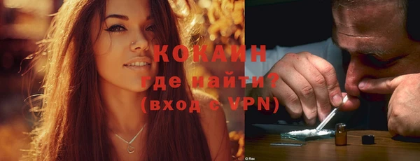 тгк Ельня