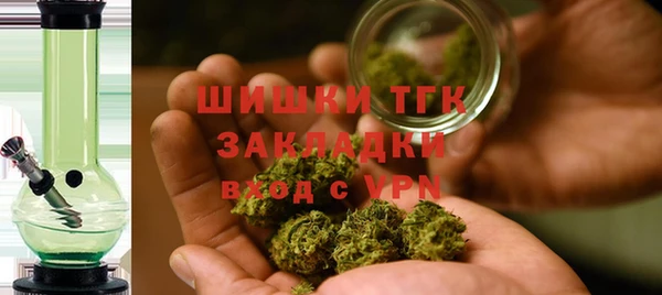тгк Ельня