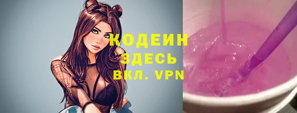 мдпв Пестово
