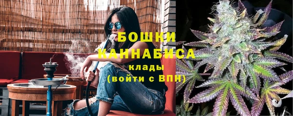 тгк Ельня