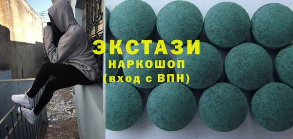 тгк Ельня