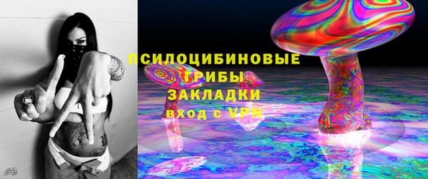 мдпв Снежногорск