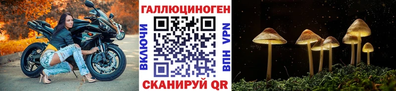 hydra ссылки  цена наркотик  Салаир  Галлюциногенные грибы Magic Shrooms 